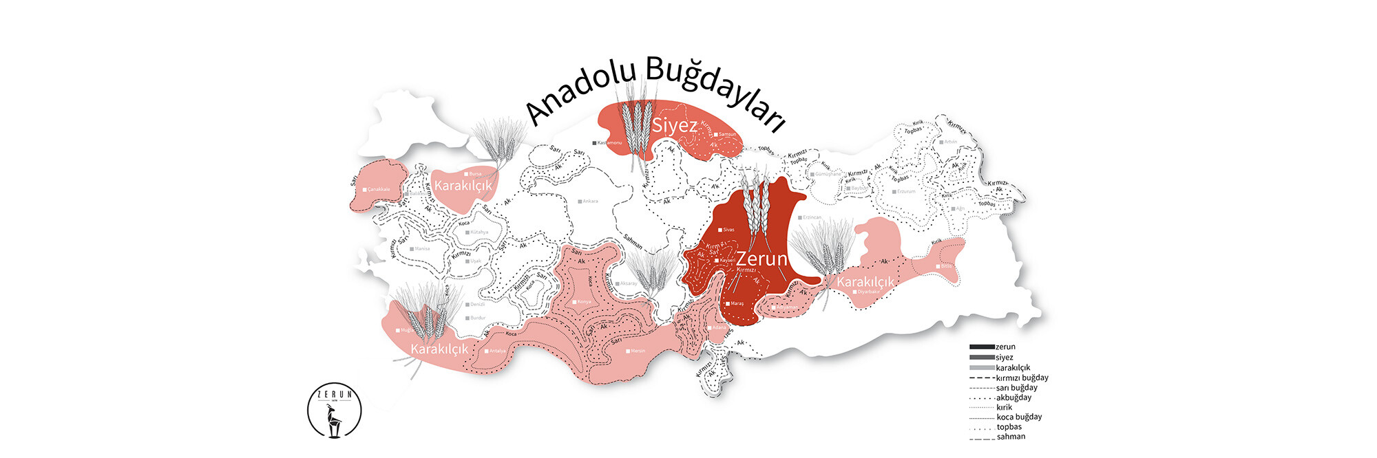 Anadolu Buğdayları