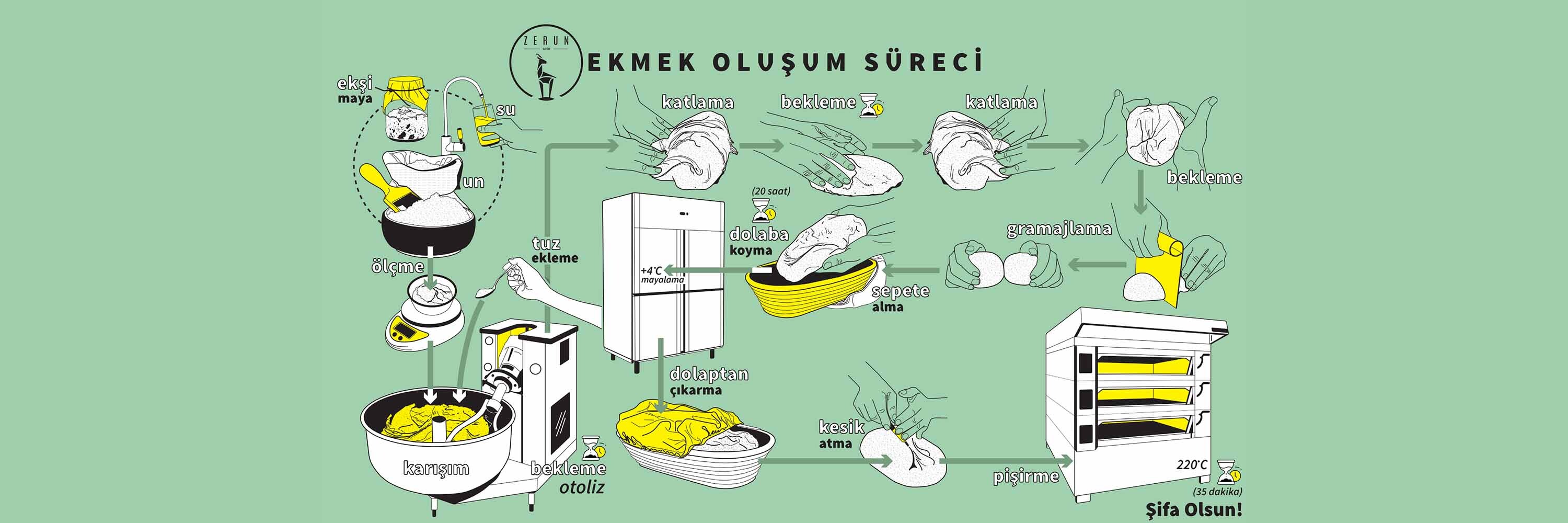 Ekmek Oluşum Süreci