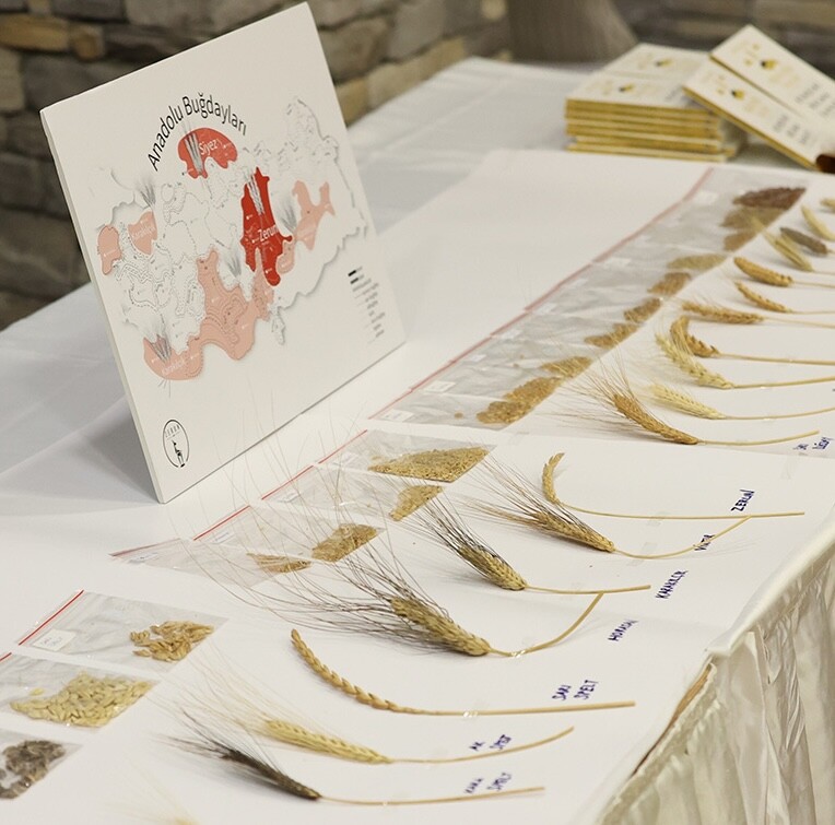 Türkiye’nin ilk Ekşi Maya Çalıştayı Gerçekleşti!