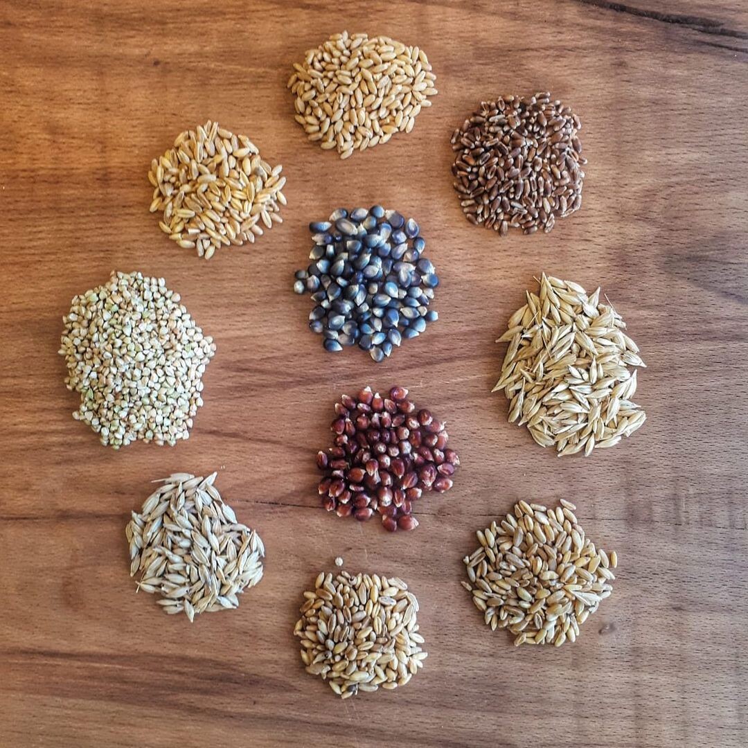 Zerun 1650’nin Hikayesi ve Konsepti