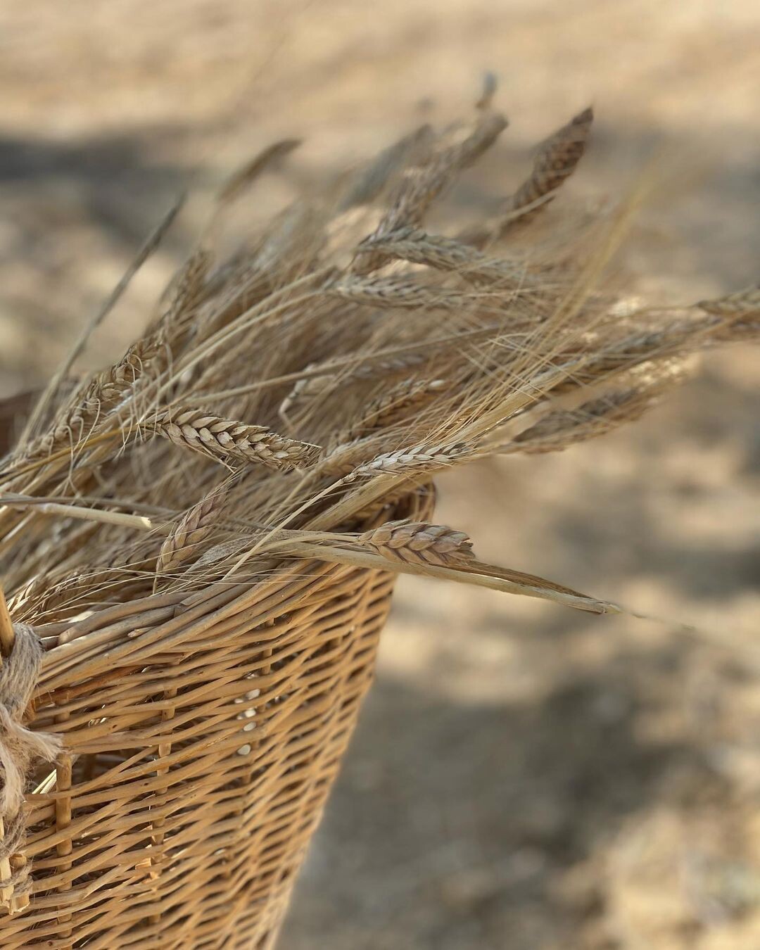 Hedeflerimiz ve Gelecek Projelerimiz