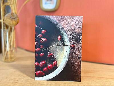 Lalehan Uysal - Kurda, Kuşa, Aşa ve Göze - Tohum Fotoğrafları Serisi (1) - 4